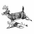 Build Your Own Engraved Cutting Board: Nature & Outdoors