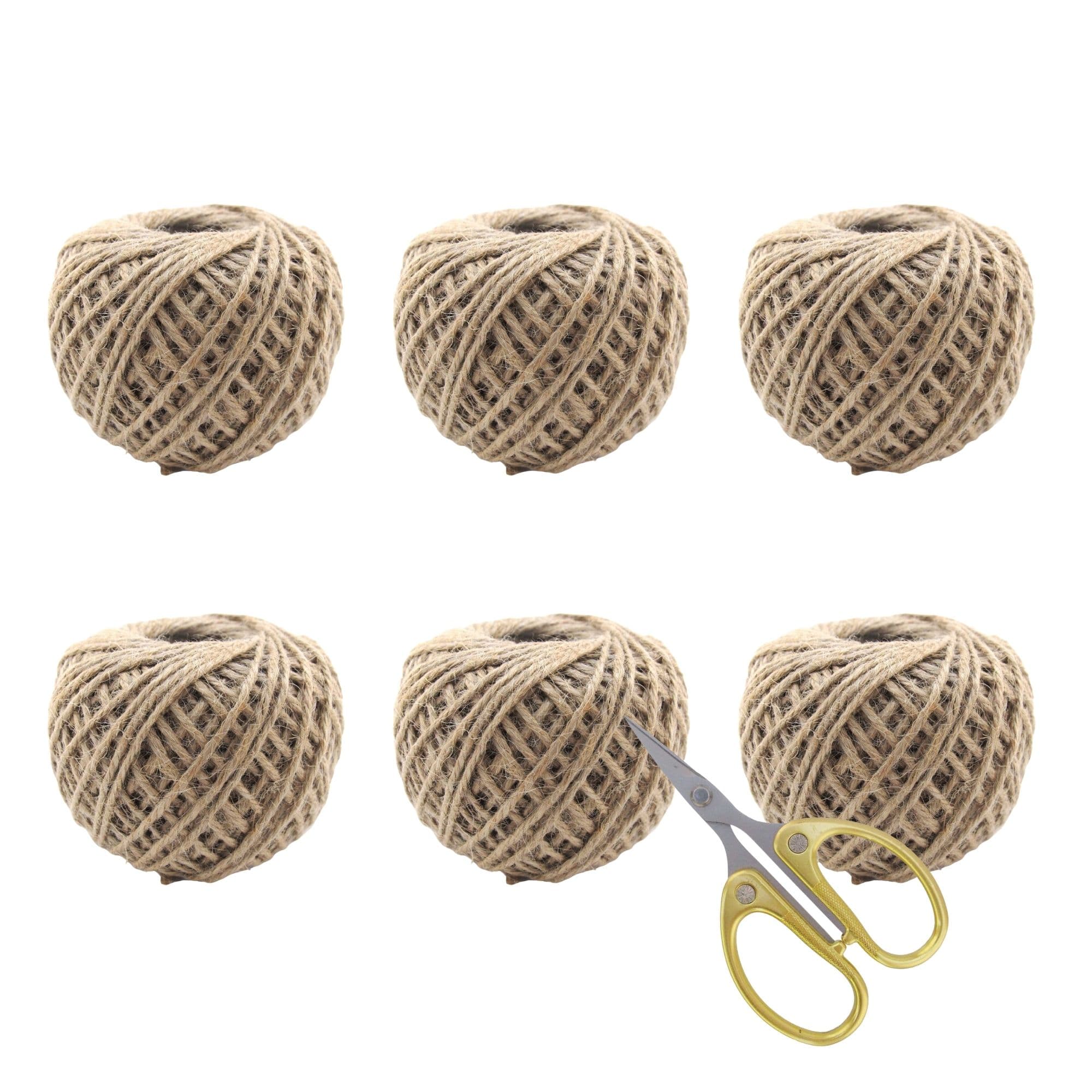 1mm Jute String & Scissors