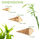 Bamboo Leaf Cone