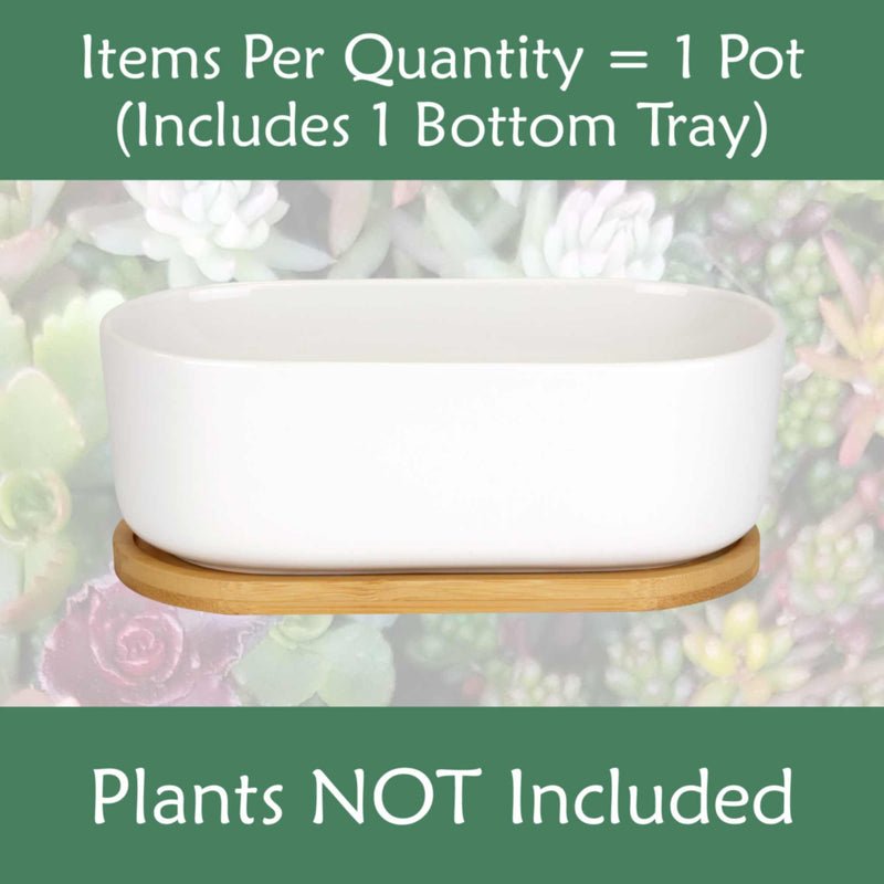 Succulent Pots - Short Oval - Home Garden Pots