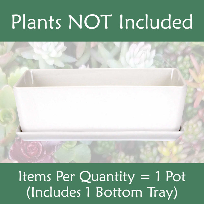Small White Rectangular Succulent Plant Pot