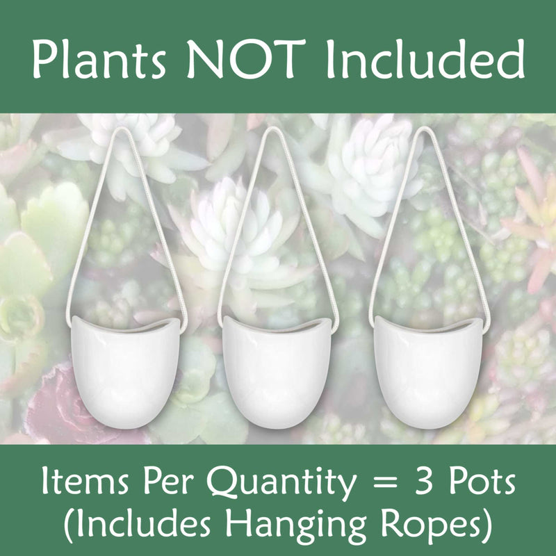 Succulent Pots - 3 Buckets & Ropes
