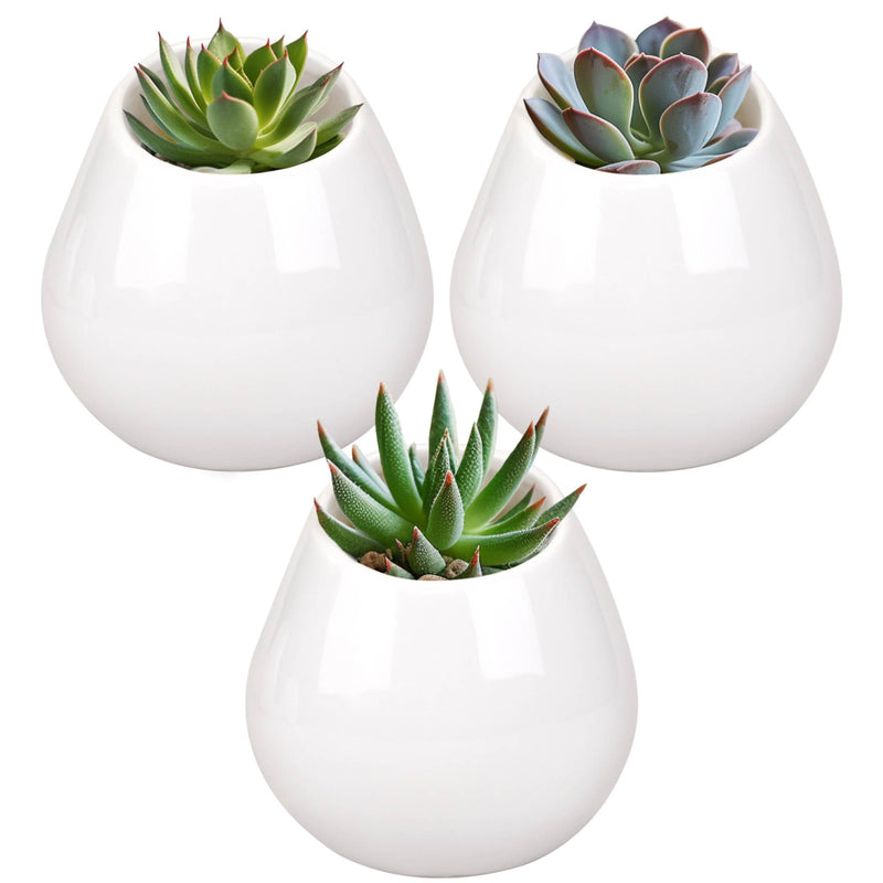 Ceramic Succulent Pot Sets