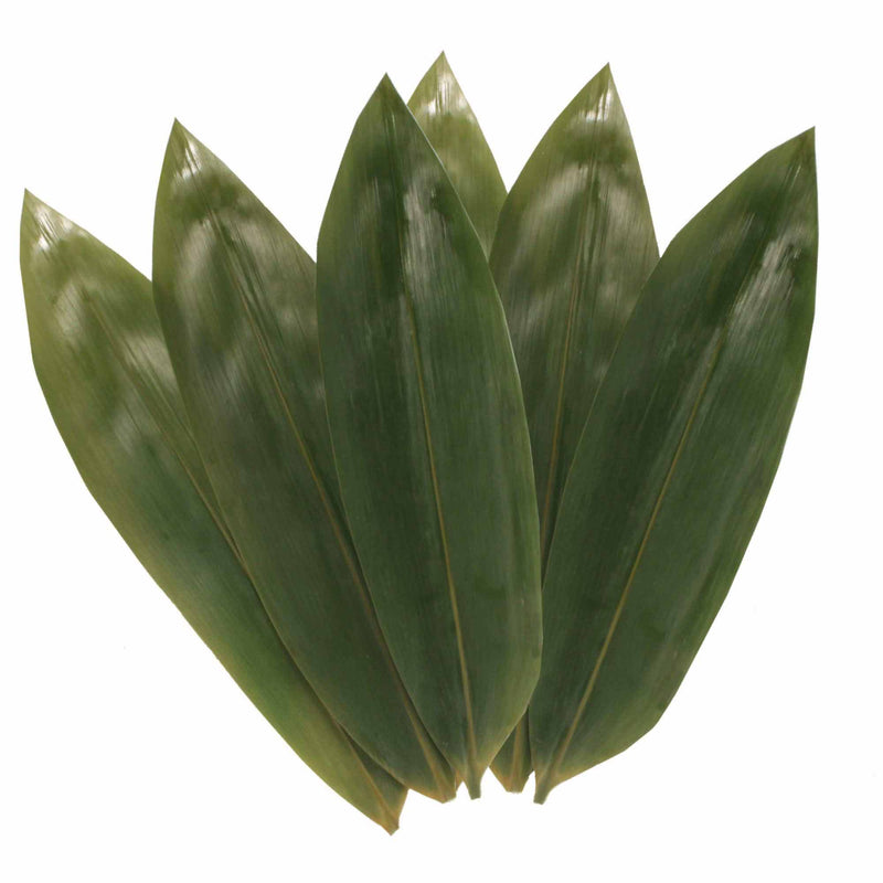 Bamboo Leaves - Vacuum Packed - 12.25 x 3.5 Inches