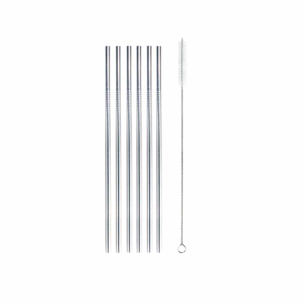 Stainless Steel Reusable Drinking Straw w/ Cleaning Brush