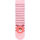 single stripe pig