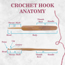 anatomy on the hooks