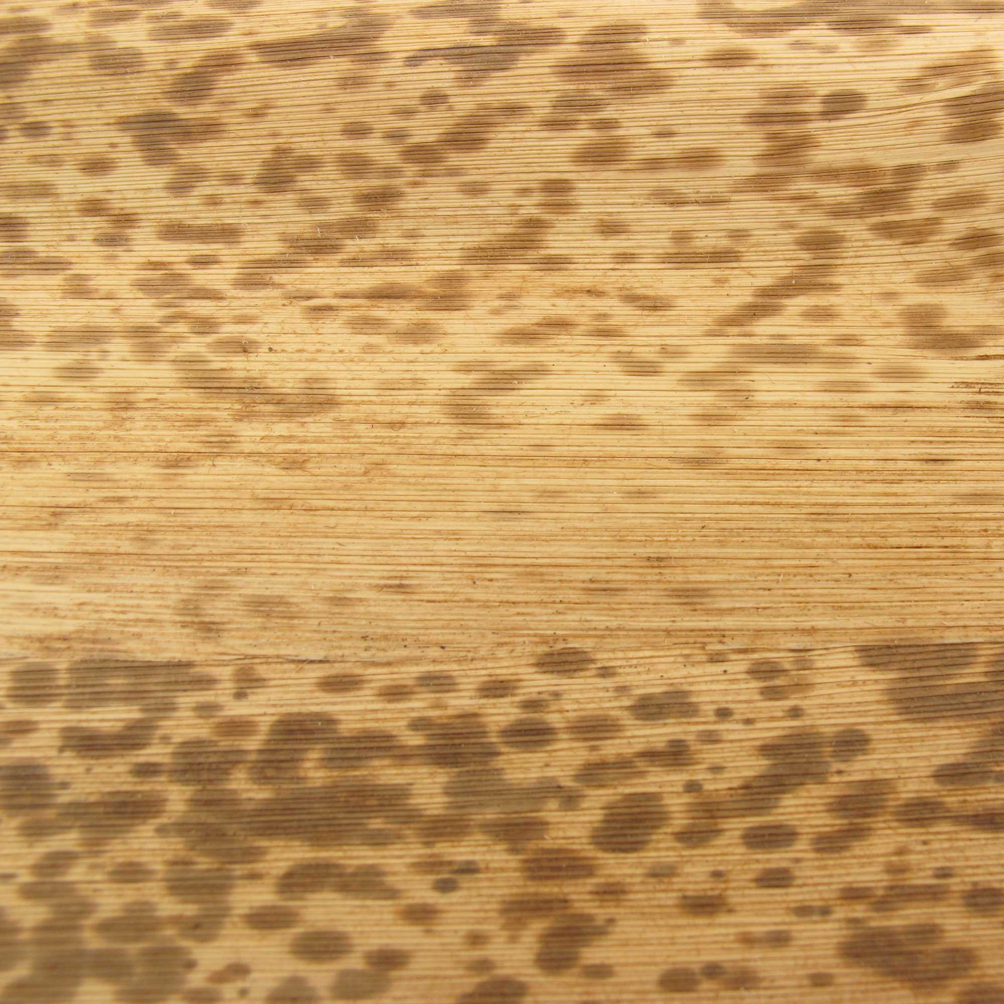 Disposable Square Bamboo Leaf Plates