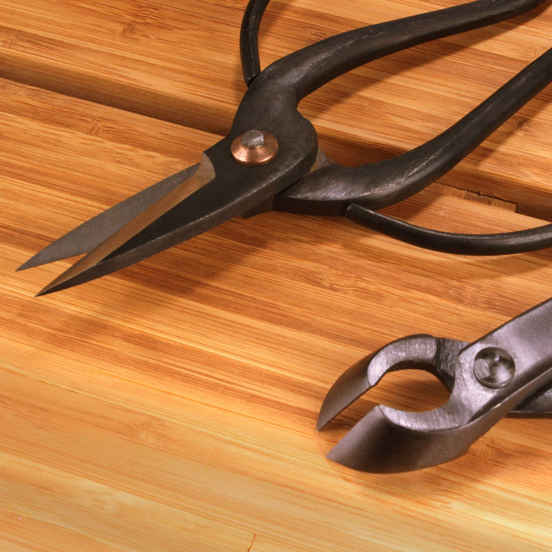 Bonsai Basics Set Concave Cutter and Heavy Duty Shear points