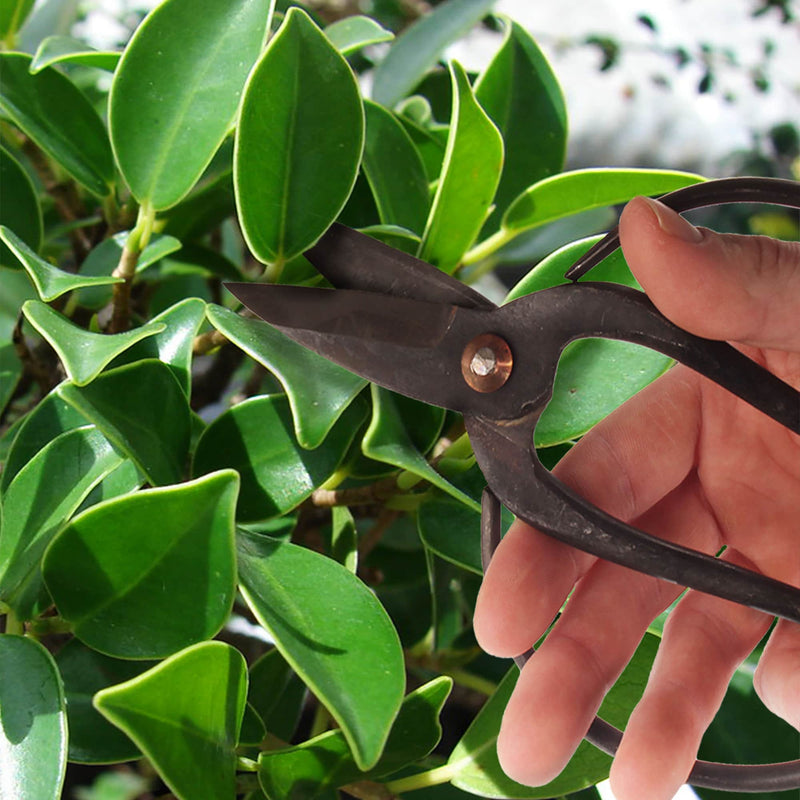 black heavy duty bonsi butterfly pruning shear tool lifestyle