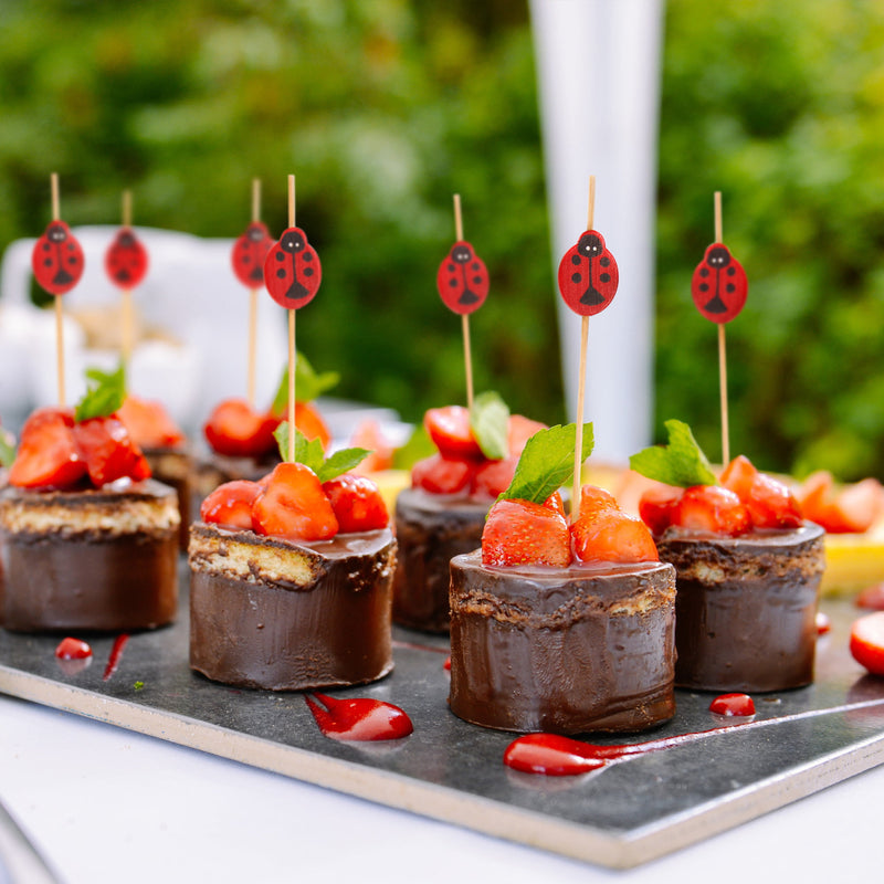 ladybug bug animal bamboo picks fudge dessert toppers cake cupcake strawberry