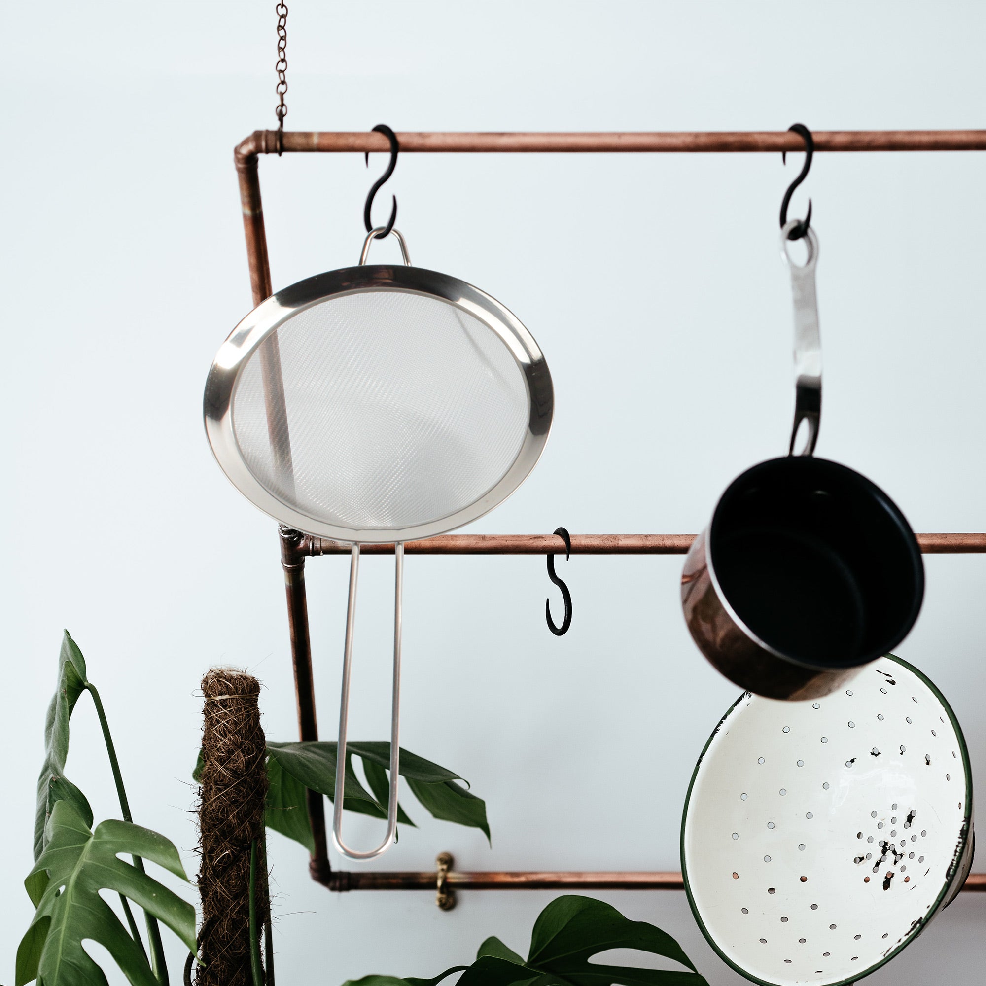 strainer-lifestyle