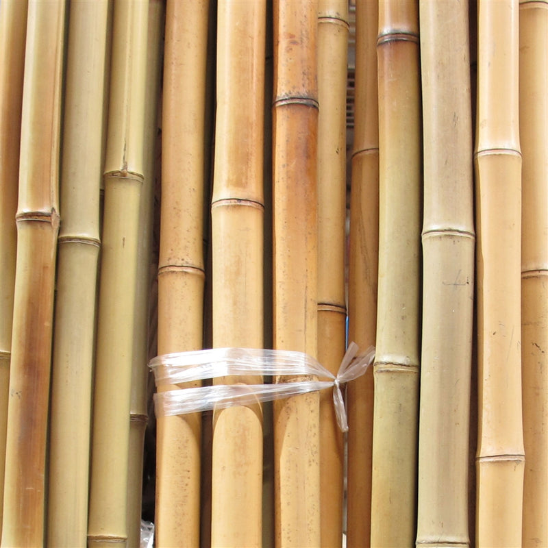 natural bamboo poles close up 