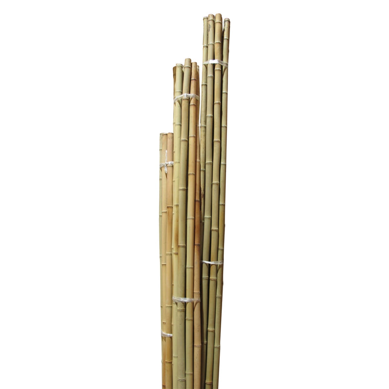 Natural Bamboo Poles, Different Sizes and Lengths
