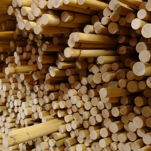 martial arts rattan escrima sticks