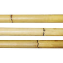 rattan staff martial arts SCA