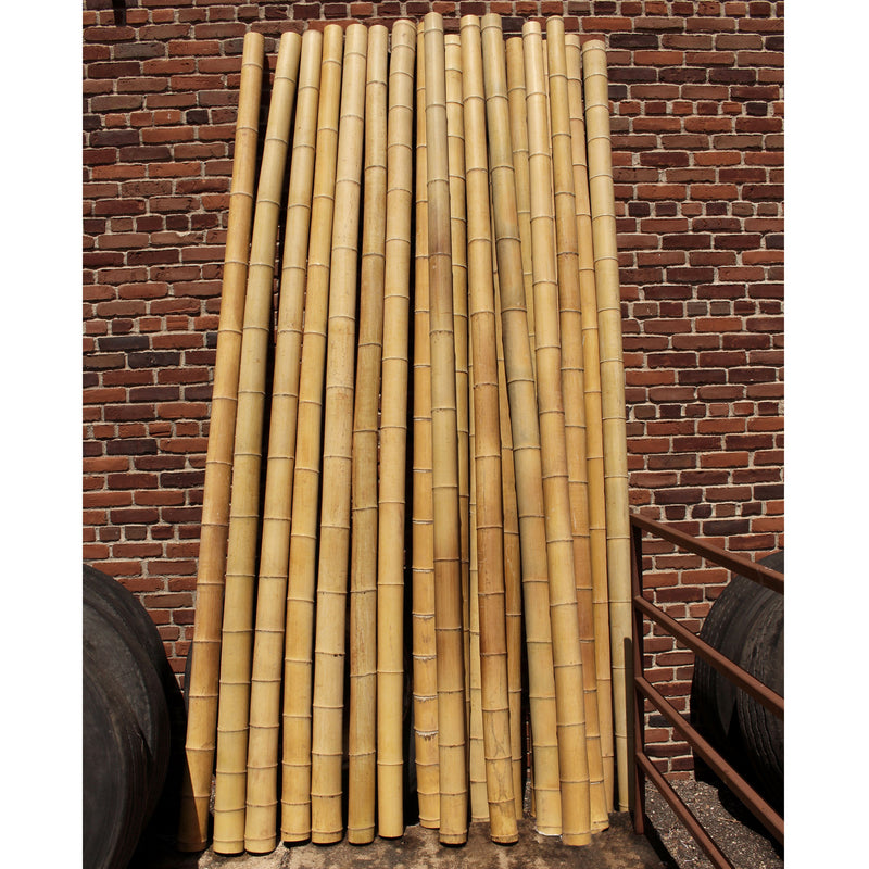 tall thick bamboo poles