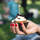 Clear Ball Bamboo Food Picks