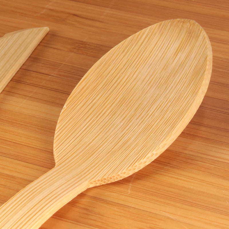 bulk bamboo veneer disposable spoons close