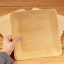 the 10 inch disposable plate is great for an entrée a side and a dessert