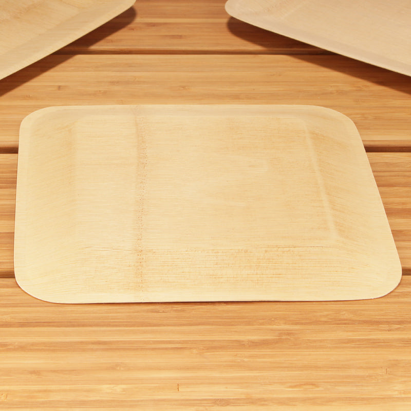 Durable and stong these plates can handle many different consistencies of food