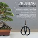 Rubber Handle Bonsai Scissor