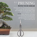 Bonsai Silver Trimming Shear