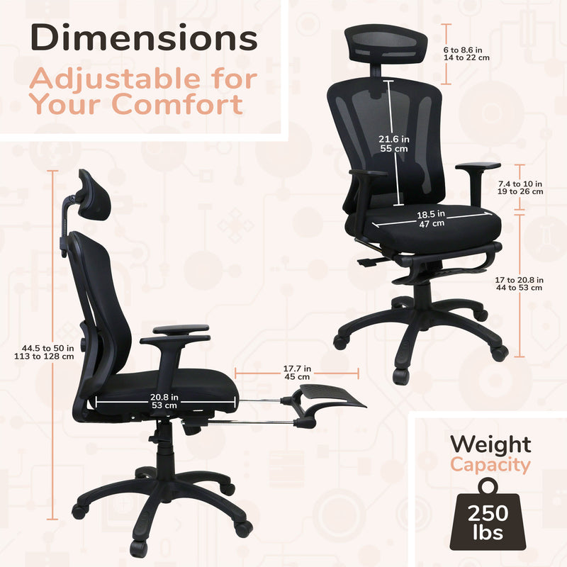 Ergo Modo Office Chair