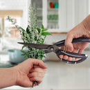 Master Butterfly Poultry 4-in-1 Kitchen Shears