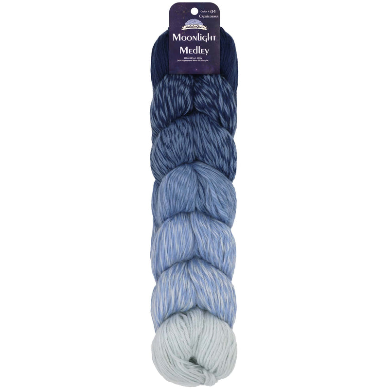 Moonlight Medley Yarn