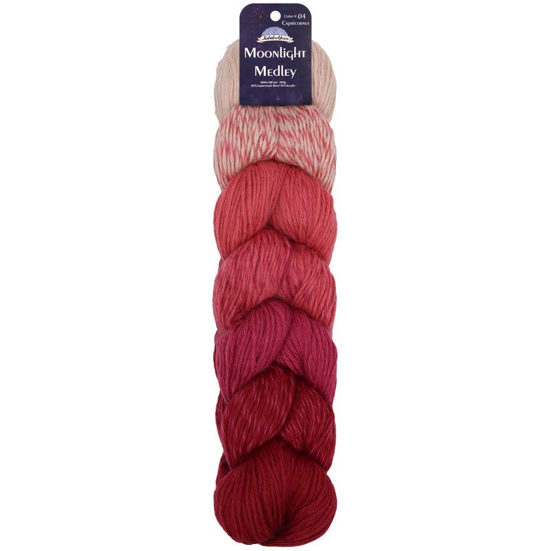Moonlight Medley Yarn