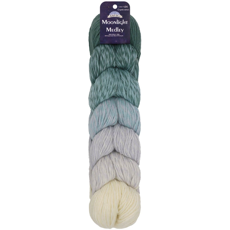 Moonlight Medley Yarn