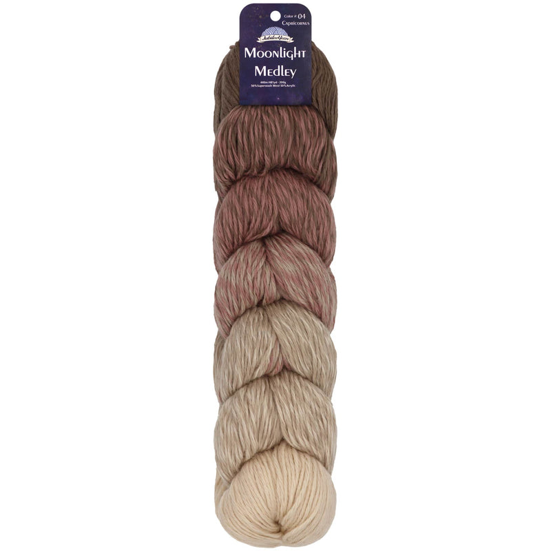 Moonlight Medley Yarn
