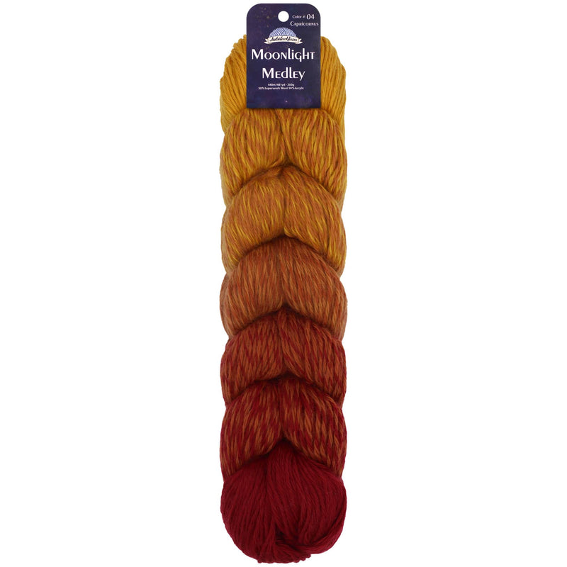 Moonlight Medley Yarn