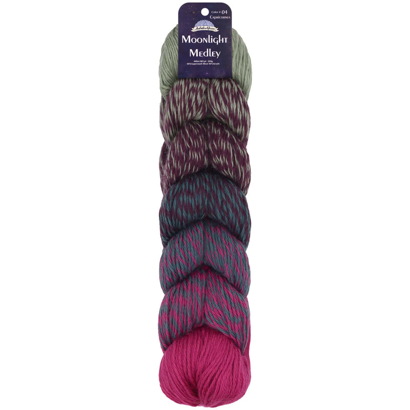 Moonlight Medley Yarn