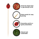 Lady Bug Bamboo Food Picks