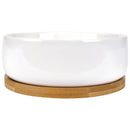 Small Round Succulent Pot with Tray