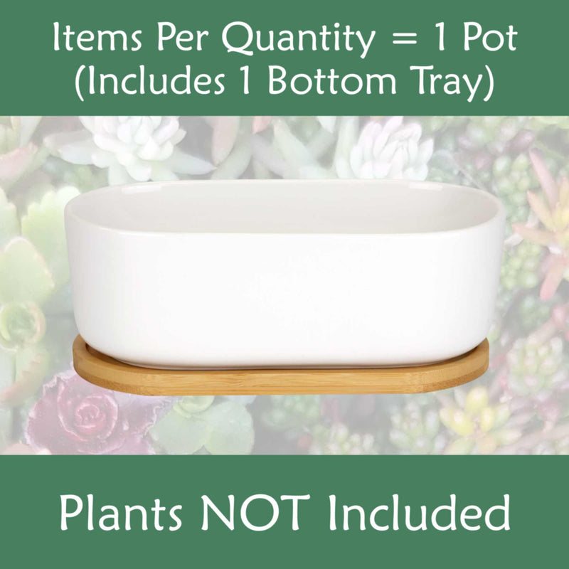 plant pot bottom tray Short Oval Succulent Plant Pot with Tray