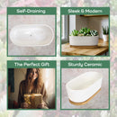 Short Oval Succulent Plant Pot with Tray