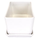 Small White Rectangular Succulent Plant Pot