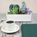 Small White Rectangular Succulent Plant Pot