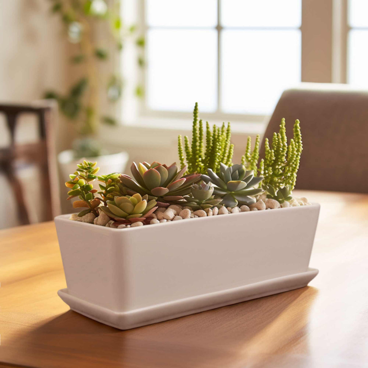 ceramic rectangular planter Small White Rectangular Succulent Plant Pot
