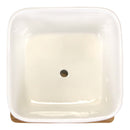 Square Succulent Pots with Tray