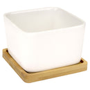 Square Succulent Pots with Tray