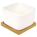 Square Succulent Pots with Tray