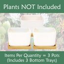 Square Succulent Pots with Tray