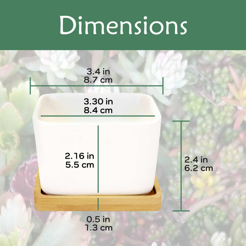 succulent pot depth Square Succulent Pots with Tray