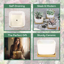 Square Succulent Pots with Tray