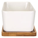 Rectangle Succulent Plant Pots with Tray