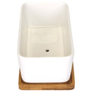 Rectangle Succulent Plant Pots with Tray